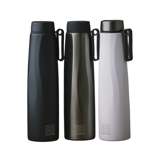 doppelwandige XL Edelstahlflasche mit Griff , customized