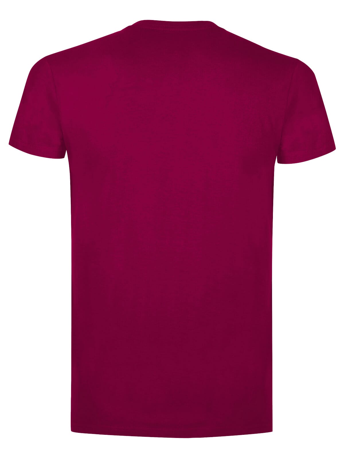 BS Evolution T-Shirt, 150 gr/m²