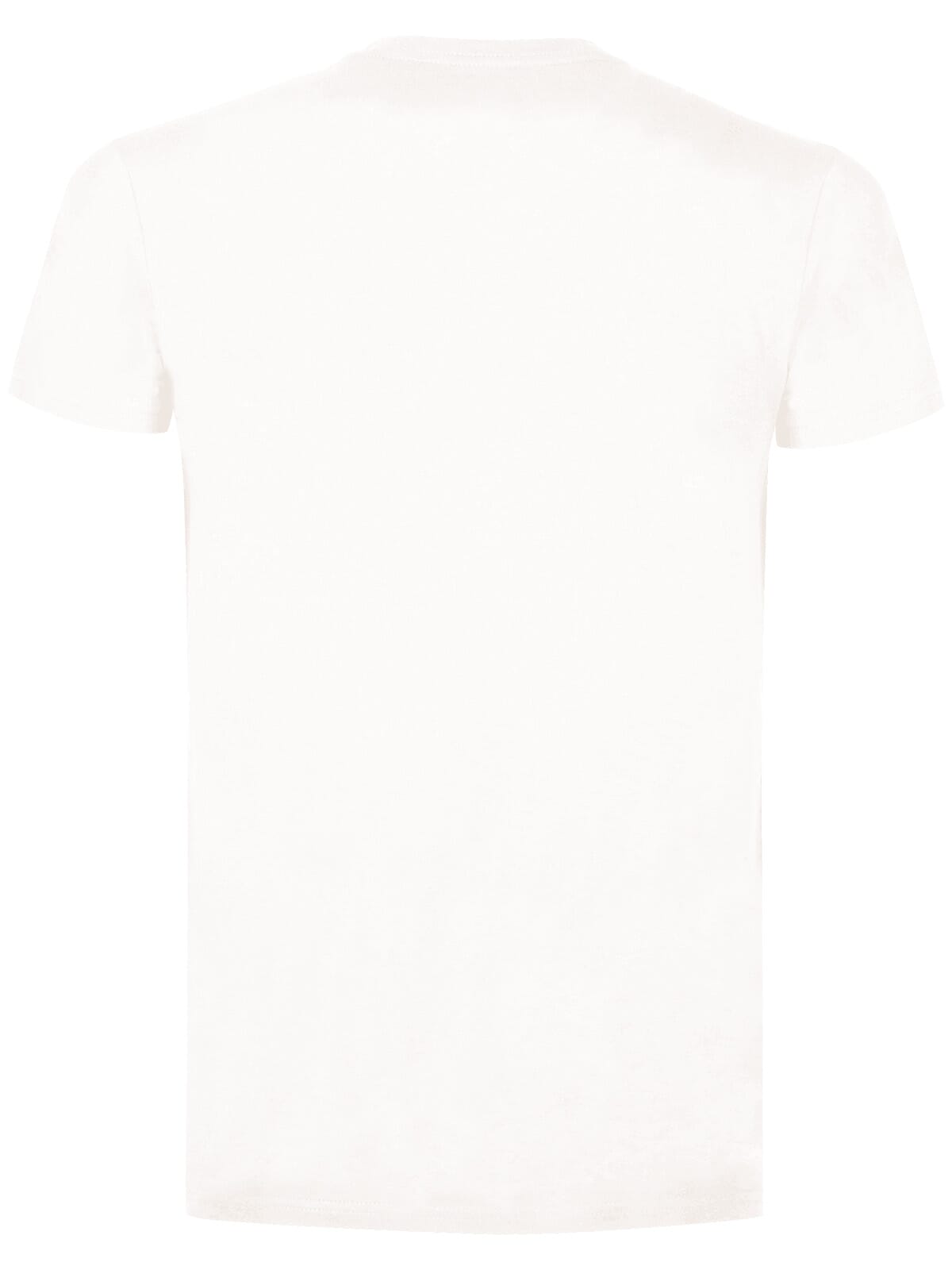 BS Evolution T-Shirt, 150 gr/m²