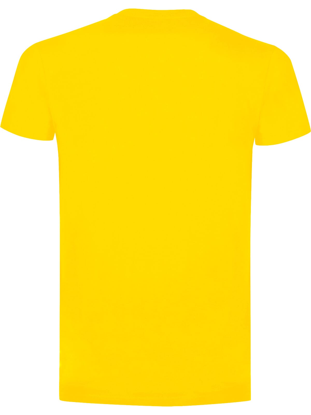 BS Evolution T-Shirt, 150 gr/m²