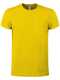 BS Evolution T-Shirt, 150 gr/m²