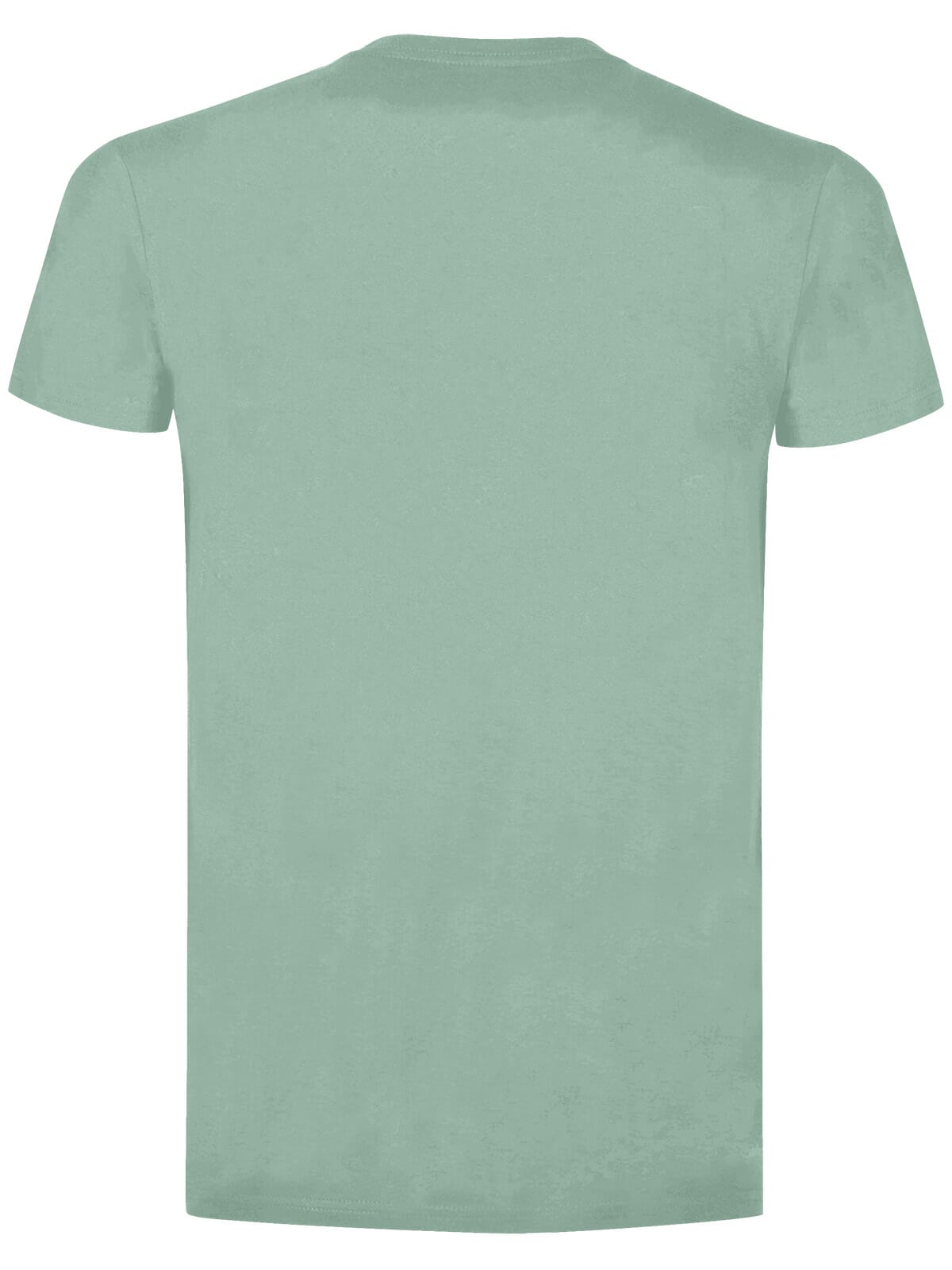 BS Evolution T-Shirt, 150 gr/m²