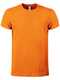 BS Evolution T-Shirt, 150 gr/m²