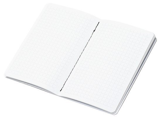 MINDNOTES Notizheft FSC im Taschenformat