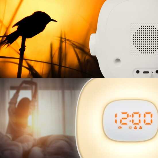 ML-198 | Muse wake up light FM-Radio