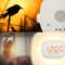 ML-198 | Muse wake up light FM-Radio
