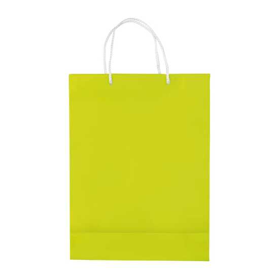 Laminierte Papiertasche, groß