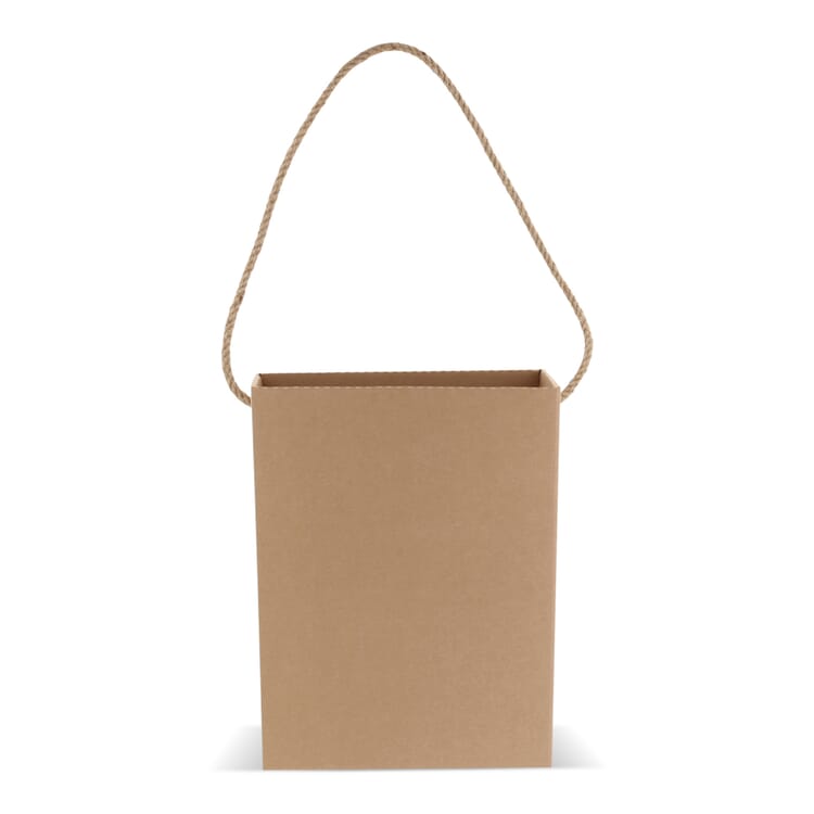 Kartontasche 24x8x32cm