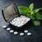Mini Pfefferminzdose