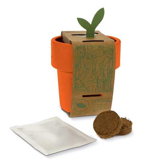 Hot-but-cool Tasse mit Kirschtomatenamen