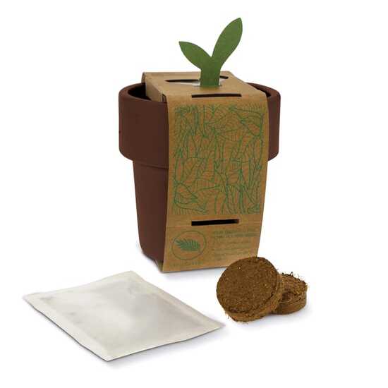 Hot-but-cool Tasse mit Basilikum