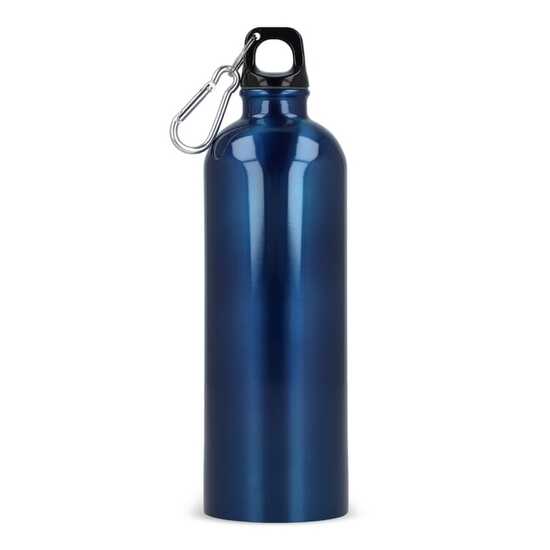R-Edelstahl einwandige Flasche mit Karabiner 750ml