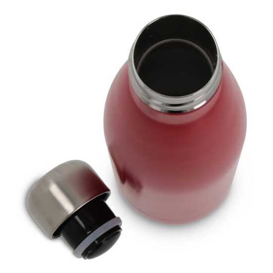 Flasche Swing 500ml