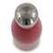 Flasche Swing 500ml
