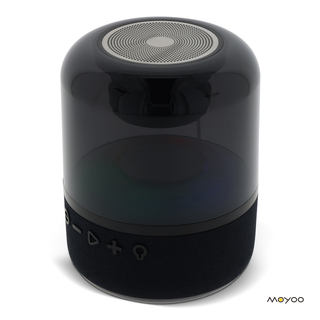 SP101 | Moyoo Smokey Dome speaker