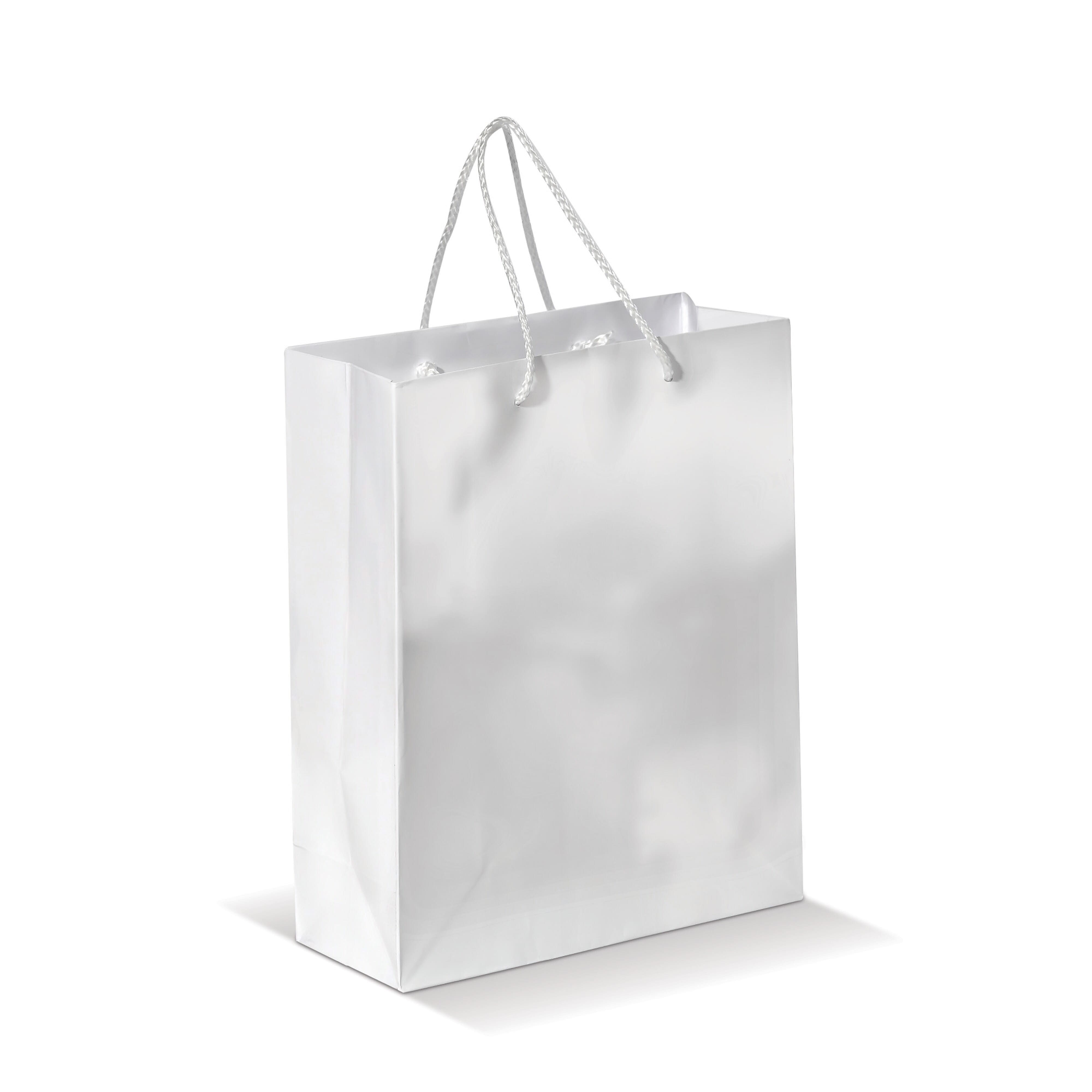 Laminierte Papiertasche, mittel