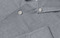 SEVEN SEAS The Jersey | modern