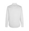 SEVEN SEAS Poplin | modern