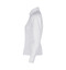 SEVEN SEAS Poplin | modern