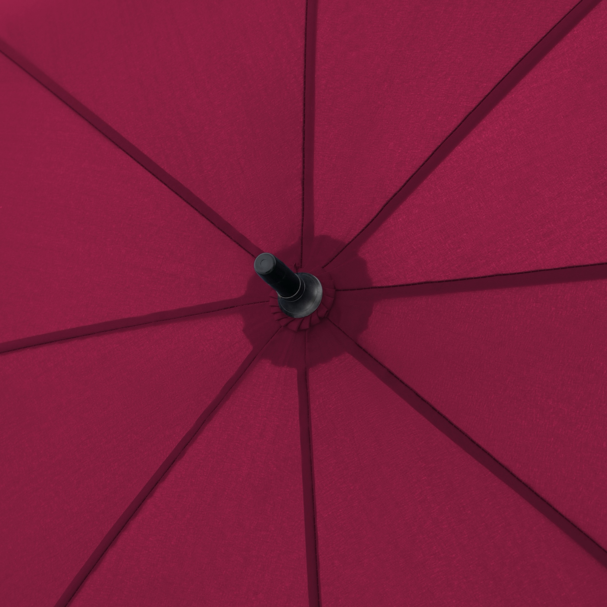 doppler Zero Explore  - royal berry