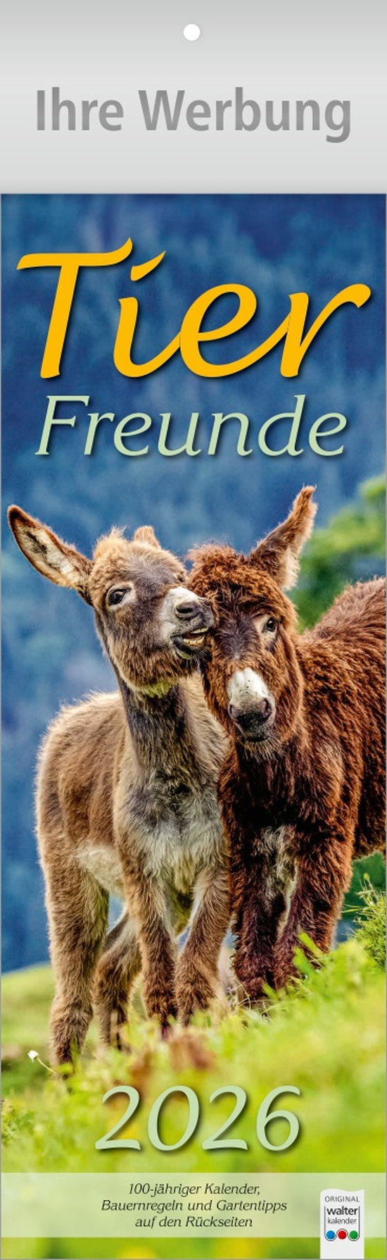 Tier-Freunde - Streifenkalender