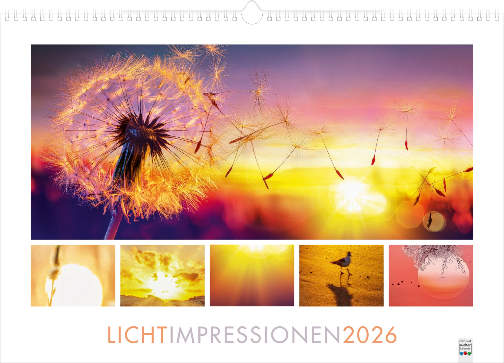 Lichtimpressionen - Große Wandkalender mit Wire-O-Bindung