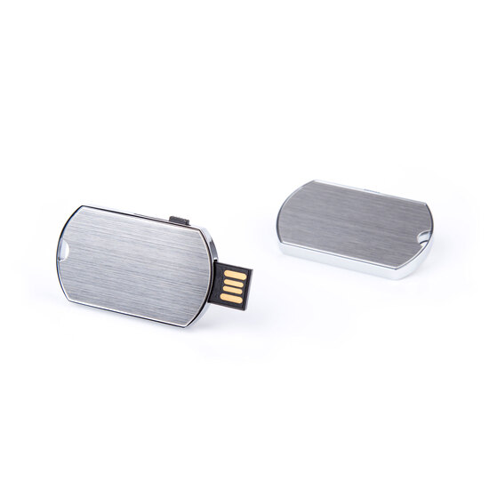USB Stick Hundemarke