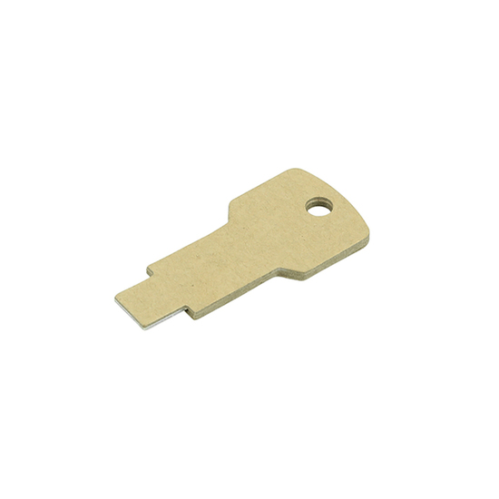 USB Stick Greencard key