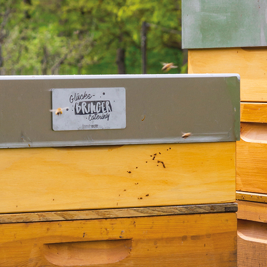 Bienen & Honig – Ihre Marke