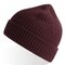 AT101 Maple Beanie