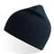 AT102 Holly Beanie