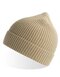 AT103 Andy Beanie