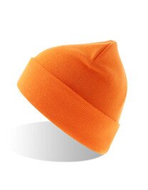 Atlantis Pier-S Beanie