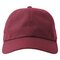 Atlantis Dad Hat-S
