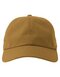 Atlantis Dad Hat-S