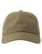 Atlantis Dad Hat-S