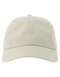 Atlantis Dad Hat-S