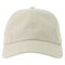 Atlantis Dad Hat-S