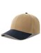 AT684 Liberty Sandwich-S Cap