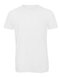 BCTM055 Triblend T-Shirt /Men