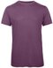BCTM055 Triblend T-Shirt /Men