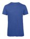 BCTM055 Triblend T-Shirt /Men