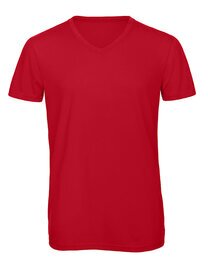 BCTM057 V-Neck Triblend T-Shirt /Men