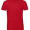 BCTM057 V-Neck Triblend T-Shirt /Men