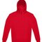 ID.223 Hoodie