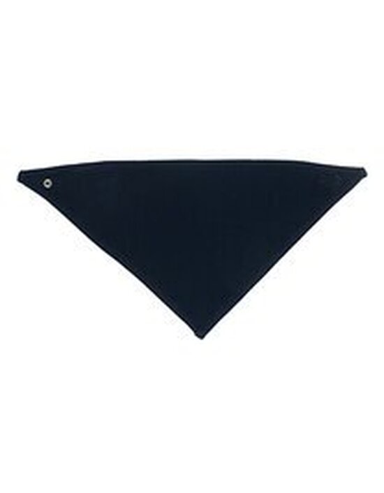 Bandana Bib