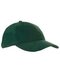 Heavy Brushed Cap