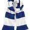 Stadium Scarf