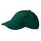 Low Profile Heavy Cotton Drill Cap