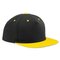 5 Panel Contrast Snapback